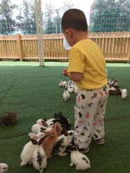 -萌宠亲子动物乐园(槐房万达店)