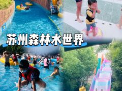 -苏州乐园森林水世界