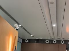 -麦当劳(北京大兴机场二层国内到达(安检外)店)