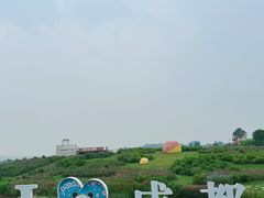 -空港花田景区