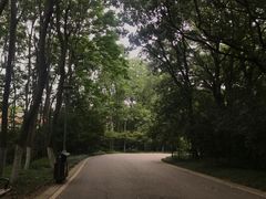 -紫金山山顶公园
