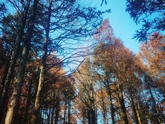 -山王坪喀斯特国家生态公园