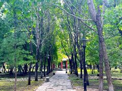 -黑龙江大学