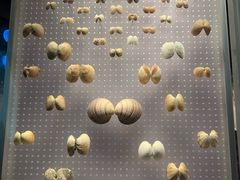 -贝林大翅鲸简餐厅(国家海洋博物馆店)