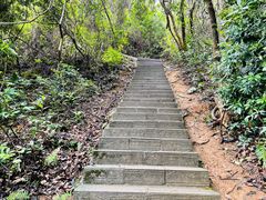 -梧桐山风景名胜区