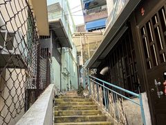 -长洲岛