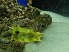 -太平洋海底世界