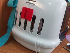 -瑞派雷欧宠物医院·24h夜诊·心脏骨科牙科·全科重症转诊中心(无影山店)
