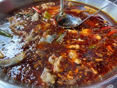 红锅锅底-蜀滋香鲜鱼美蛙火锅(339店)
