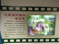 -上海昆虫博物馆