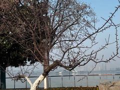 -云龙湖旅游景区