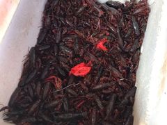 -江杨农产品批发市场