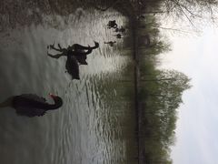 iphone_upload_pic-溱湖国家湿地公园