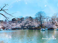 -井之头恩赐公园