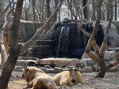 -北京野生动物园