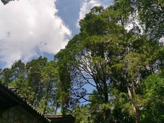 -寂照庵