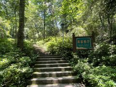 -宋宴(虎跑店)