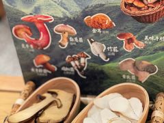 -季季山•云南野生菌火锅(上海首店)