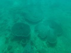 -亚龙湾海底世界