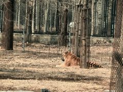 -秦皇岛野生动物园