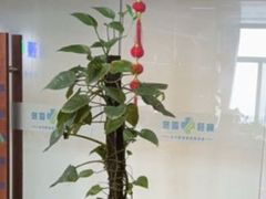 -肩颈管家·肩颈调理·经络养生(华景新城店)