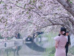 -元大都城垣遗址公园