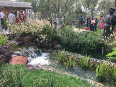 -武清南湖绿博园