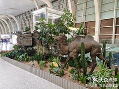 -银川河东国际机场