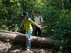 -紫金山山顶公园
