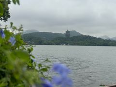 -柳莺湖上·湖景餐厅·江南菜(西湖店)