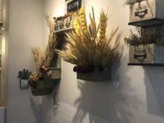 -夏叶茶(大光明店)