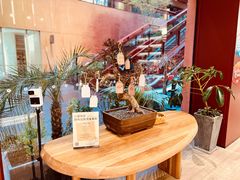 -二酉书店TOYOU BOOKS