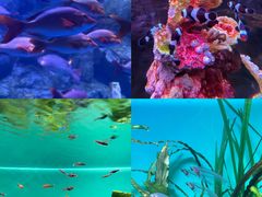 -南昌融创海世界