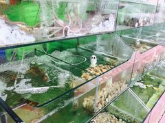 -四海鲜渔家菜(黄金海岸店)