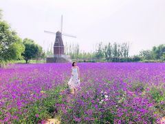 -渔岛海洋度假区