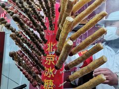 -和禄德冰糖葫芦