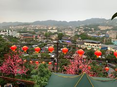 -枇杷园食为鲜火锅(南山店)