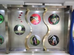 -上海昆虫博物馆