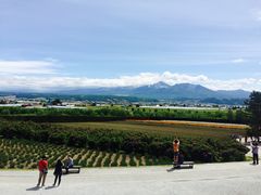 -富田农场