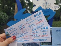 -广东惠东海龟国家级自然保护区