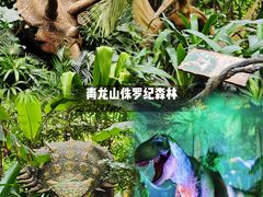 -广州长隆野生动物世界