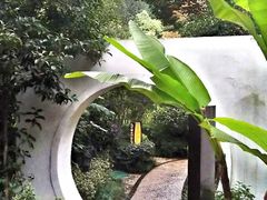 -深业半汤御泉庄温泉