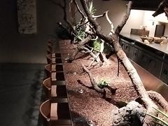 -曲廊院(东四十一条店)