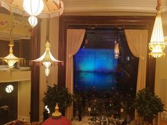 -拉斯维加斯永利酒店