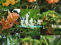 -国家植物园南园