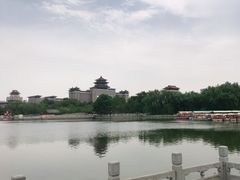-莲花池公园