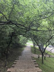 -鼎极摄影(蓝色港湾店)