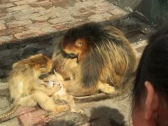 -西安秦岭野生动物园