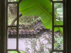 -秋霞圃