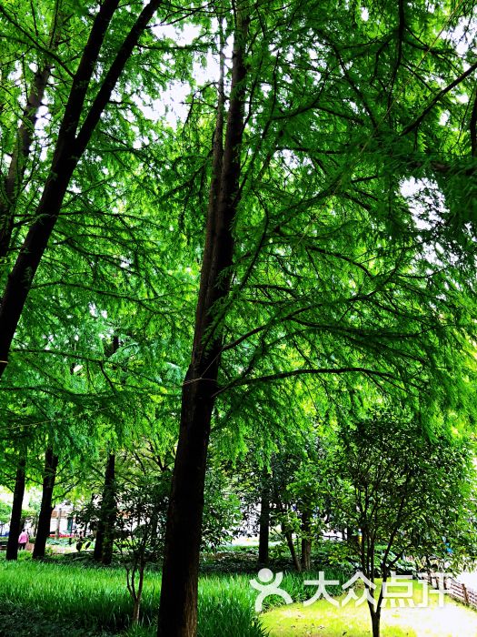 丽园公园图片 - 第1张